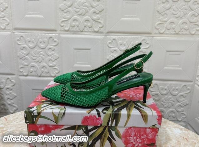 Generous Dolce & Gabbana DG Patent Leather and Mesh Slingbacks Pumps 6.5cm Green 506097