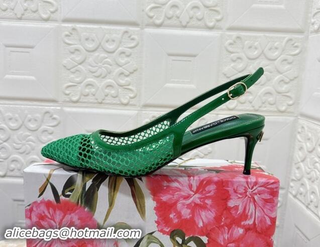 Generous Dolce & Gabbana DG Patent Leather and Mesh Slingbacks Pumps 6.5cm Green 506097