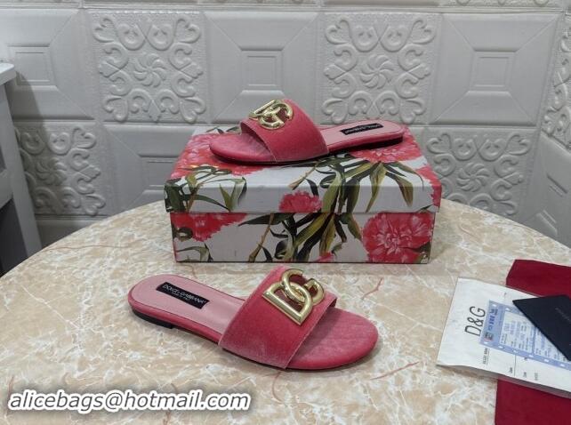 Unique Style Dolce & Gabbana DG Velvet Flat Slide Sandals Pink 604093