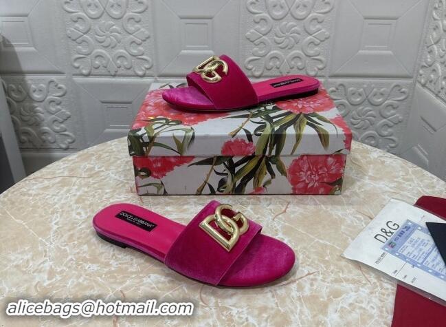 Good Looking Dolce & Gabbana DG Velvet Flat Slide Sandals Fushcia 604095