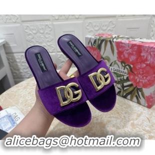 Best Product Dolce & Gabbana DG Velvet Flat Slide Sandals Purple 604096