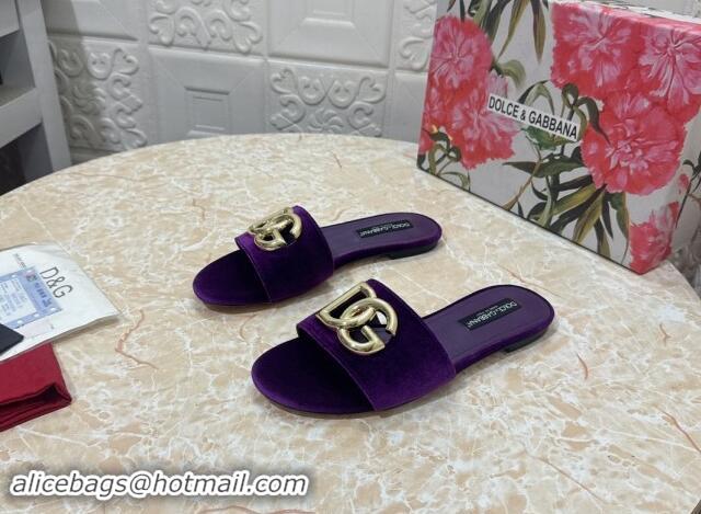 Best Product Dolce & Gabbana DG Velvet Flat Slide Sandals Purple 604096