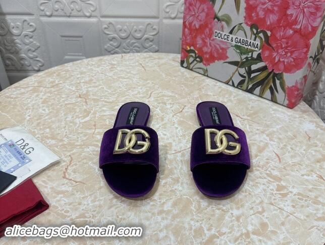 Best Product Dolce & Gabbana DG Velvet Flat Slide Sandals Purple 604096