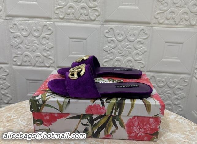 Best Product Dolce & Gabbana DG Velvet Flat Slide Sandals Purple 604096