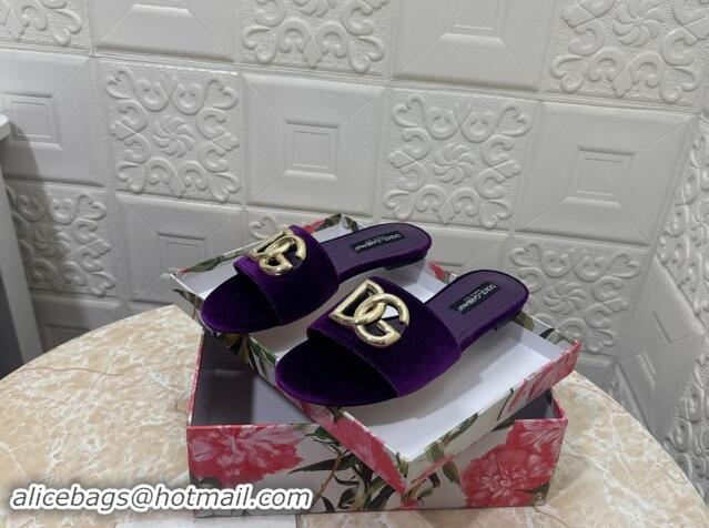 Best Product Dolce & Gabbana DG Velvet Flat Slide Sandals Purple 604096