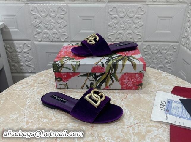 Best Product Dolce & Gabbana DG Velvet Flat Slide Sandals Purple 604096