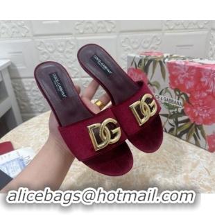 Shop Duplicate Dolce & Gabbana DG Velvet Flat Slide Sandals Burgundy 604097