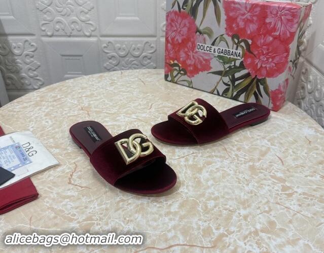 Shop Duplicate Dolce & Gabbana DG Velvet Flat Slide Sandals Burgundy 604097