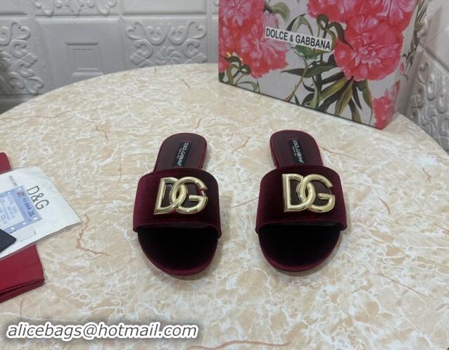 Shop Duplicate Dolce & Gabbana DG Velvet Flat Slide Sandals Burgundy 604097