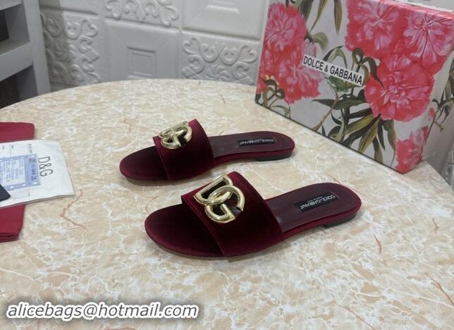 Shop Duplicate Dolce & Gabbana DG Velvet Flat Slide Sandals Burgundy 604097