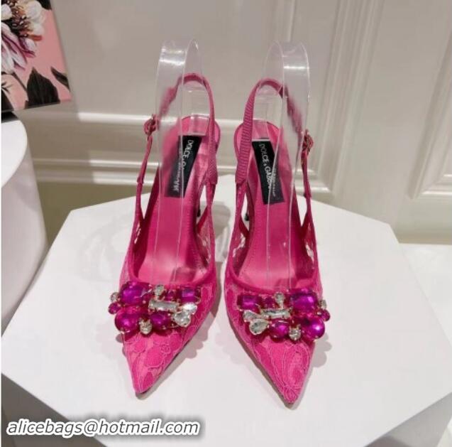 Most Popular Dolce & Gabbana DG Lace Slingback Pumps 10cm Dark Pink 604111