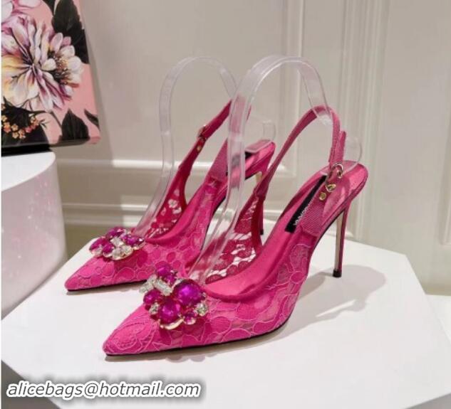 Most Popular Dolce & Gabbana DG Lace Slingback Pumps 10cm Dark Pink 604111