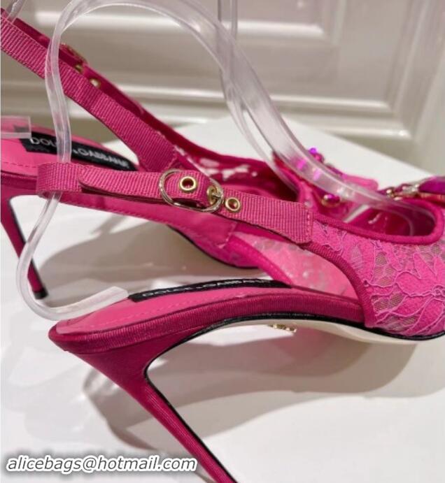 Most Popular Dolce & Gabbana DG Lace Slingback Pumps 10cm Dark Pink 604111