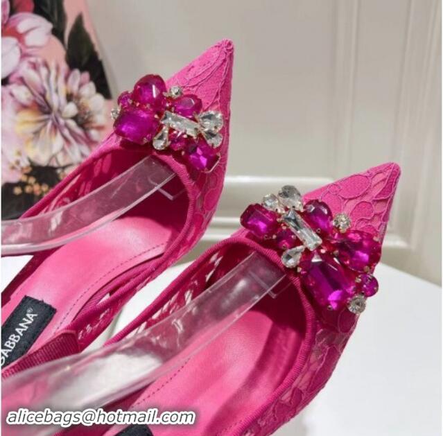 Most Popular Dolce & Gabbana DG Lace Slingback Pumps 10cm Dark Pink 604111