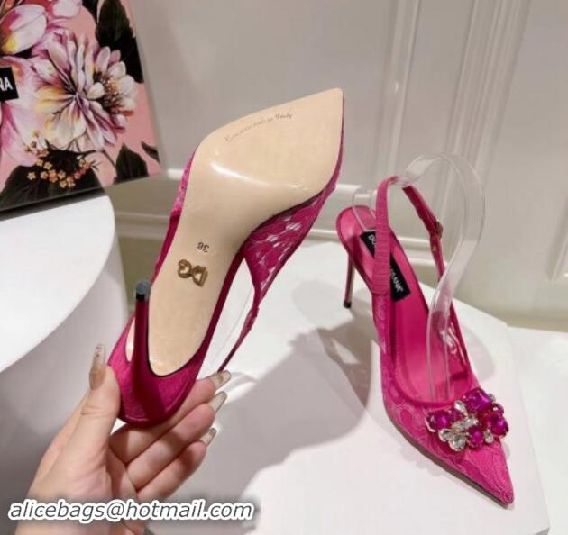 Most Popular Dolce & Gabbana DG Lace Slingback Pumps 10cm Dark Pink 604111