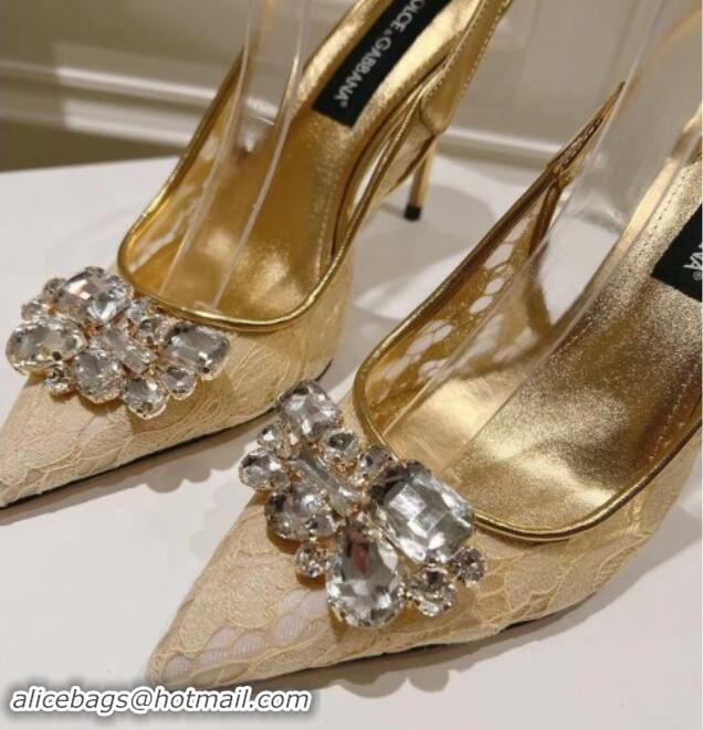 Low Price Dolce & Gabbana DG Lace Slingback Pumps 10cm Gold-Tone 604112