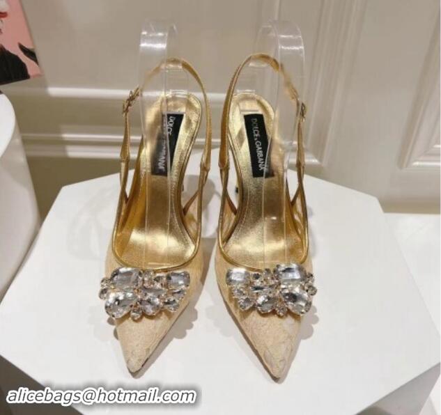 Low Price Dolce & Gabbana DG Lace Slingback Pumps 10cm Gold-Tone 604112