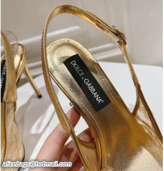 Low Price Dolce & Gabbana DG Lace Slingback Pumps 10cm Gold-Tone 604112