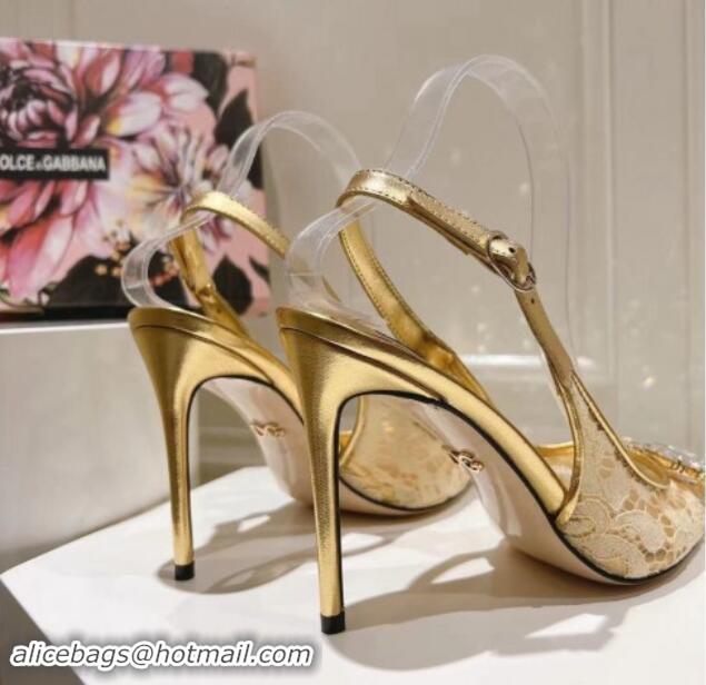 Low Price Dolce & Gabbana DG Lace Slingback Pumps 10cm Gold-Tone 604112