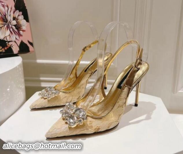 Low Price Dolce & Gabbana DG Lace Slingback Pumps 10cm Gold-Tone 604112