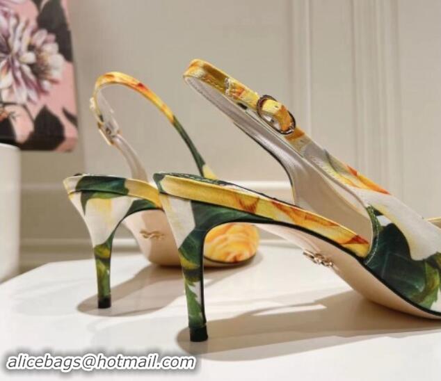 Stylish Dolce & Gabbana Printed Slingback Pumps 6.5cm/9.5cm White/Yellow 604114