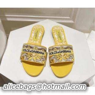 Good Product Dolce & Gabbana DG Flat Slide Sandals in Yellow Embroidery 725041