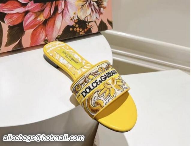 Good Product Dolce & Gabbana DG Flat Slide Sandals in Yellow Embroidery 725041