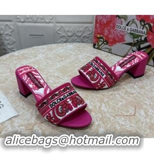 Comfortable Dolce & Gabbana DG Embroidered Heel Slides Sandal 6.5cm Pink 813013