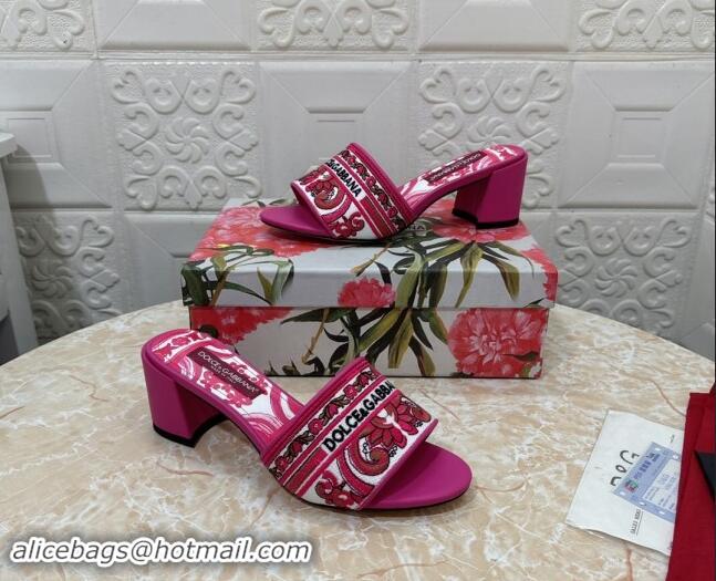 Comfortable Dolce & Gabbana DG Embroidered Heel Slides Sandal 6.5cm Pink 813013