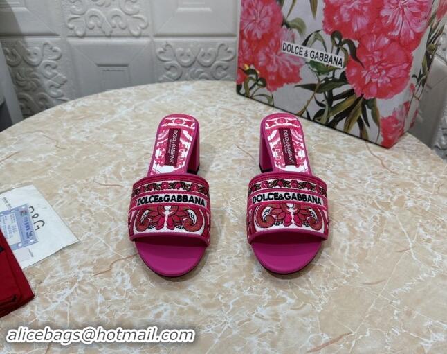 Comfortable Dolce & Gabbana DG Embroidered Heel Slides Sandal 6.5cm Pink 813013