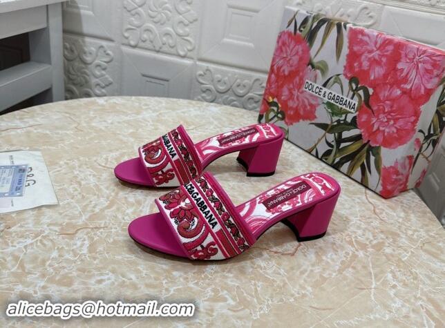 Comfortable Dolce & Gabbana DG Embroidered Heel Slides Sandal 6.5cm Pink 813013