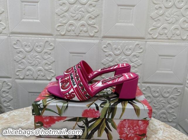 Comfortable Dolce & Gabbana DG Embroidered Heel Slides Sandal 6.5cm Pink 813013