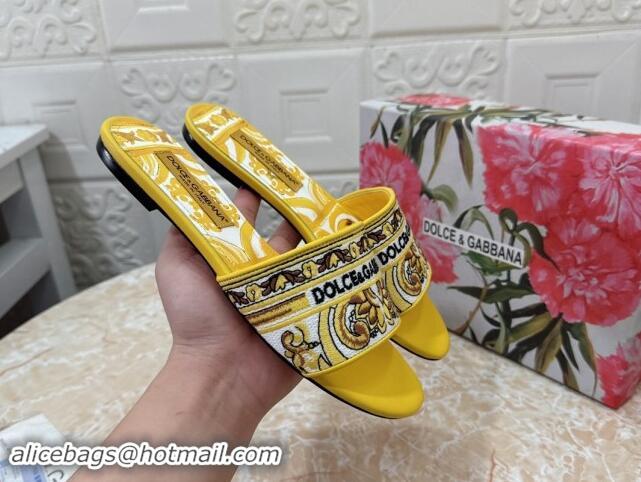 Pretty Style Dolce & Gabbana DG Embroidered Flat Slides Sandal Yellow 813015