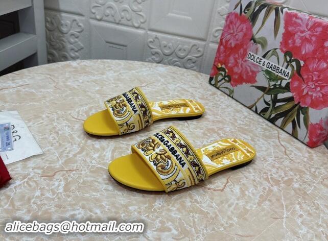 Pretty Style Dolce & Gabbana DG Embroidered Flat Slides Sandal Yellow 813015