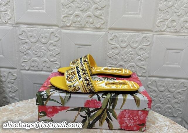 Pretty Style Dolce & Gabbana DG Embroidered Flat Slides Sandal Yellow 813015