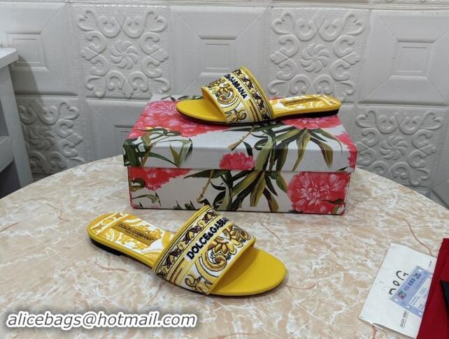 Pretty Style Dolce & Gabbana DG Embroidered Flat Slides Sandal Yellow 813015