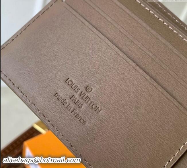 Buy Discount Louis Vuitton Multiple Wallet in LV Aerogram Leather M11487 Moka Brown 2024