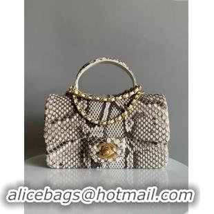 Buy Grade Chanel Mini Classic Flap Bag with Top Handle in Pythonskin Leather AS2431 Grey 2024