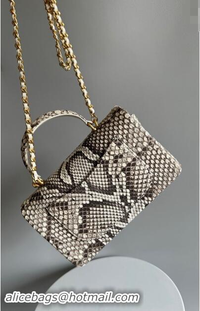 Buy Grade Chanel Mini Classic Flap Bag with Top Handle in Pythonskin Leather AS2431 Grey 2024