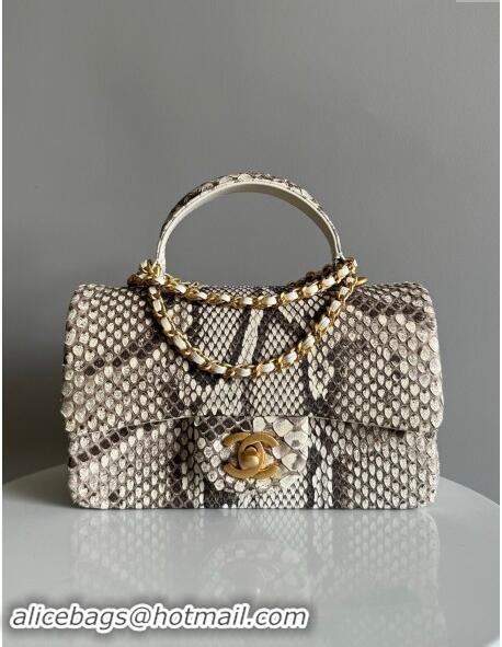 Buy Grade Chanel Mini Classic Flap Bag with Top Handle in Pythonskin Leather AS2431 Grey 2024