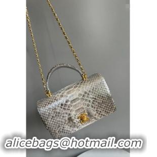 Cheap Design Chanel Mini Classic Flap Bag with Top Handle in Pythonskin Leather AS2431 Shiny Silver 2024