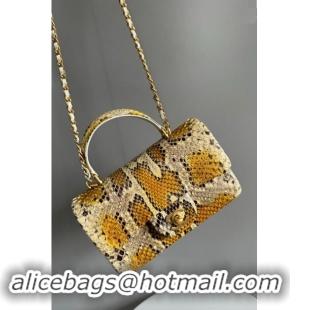 Well Crafted Chanel Mini Classic Flap Bag with Top Handle in Pythonskin Leather AS2431 Beige/Yellow 2024