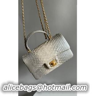 Best Grade Chanel Mini Classic Flap Bag with Top Handle in Pythonskin Leather AS2431 Silver Grey 2024