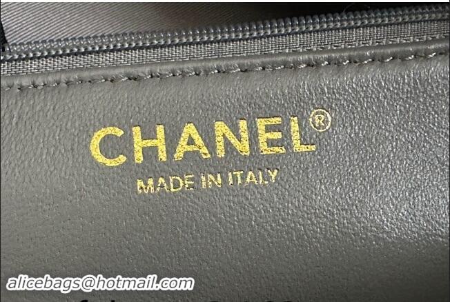 Best Quality Chanel Grained Calfskin Vintage Top Handle bag AS1804 Grey 2024