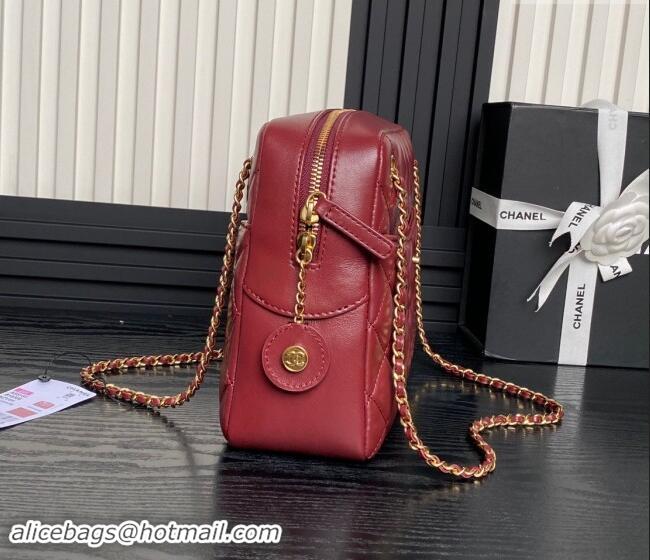 Promotional Chanel Shiny Lambskin Medium Camera Case bag AS5187 Burgundy 2024