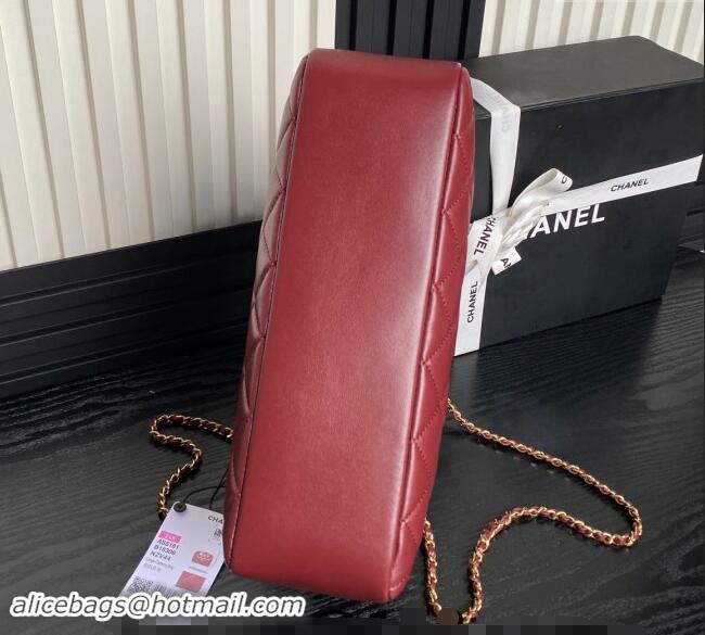 Promotional Chanel Shiny Lambskin Medium Camera Case bag AS5187 Burgundy 2024