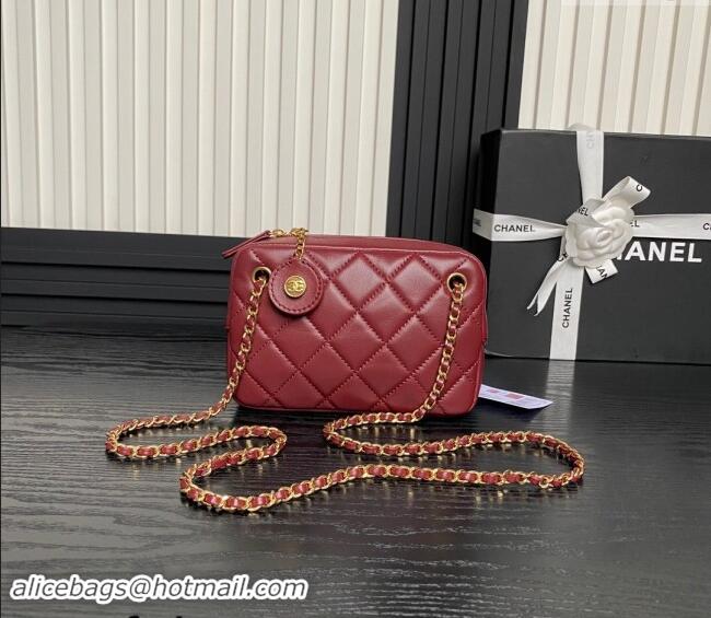 Luxury Cheap Chanel Shiny Lambskin Mini Camera Case bag AS5190 Burgundy 2024