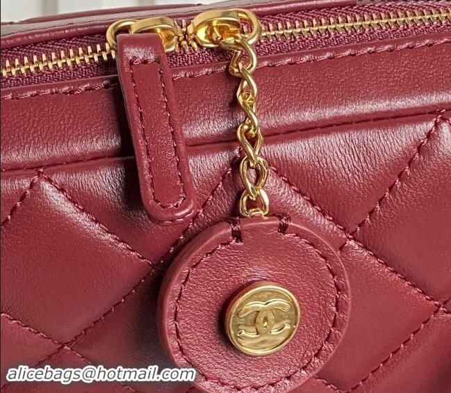 Luxury Cheap Chanel Shiny Lambskin Mini Camera Case bag AS5190 Burgundy 2024