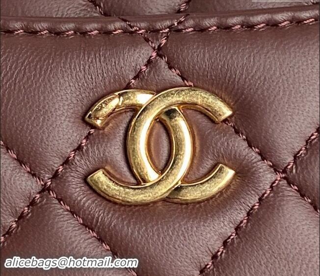 Grade Quality Chanel Shiny Lambskin Mini Camera Case bag AS5190 Dark Brown 2024