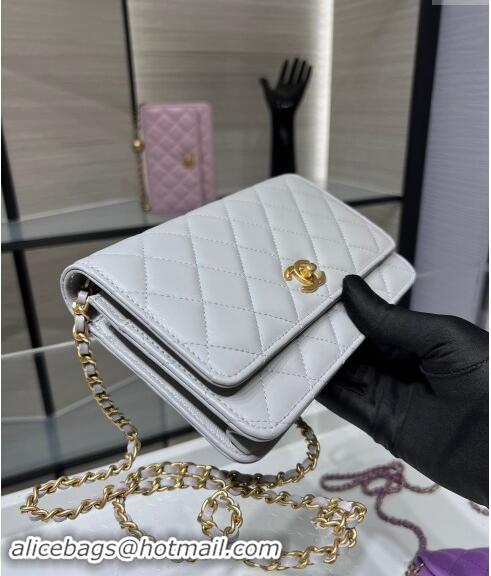 Top Design Chanel Lambskin Wallet on Chain WOC with Gold-Tone Ball AP1450 Light Grey 2024